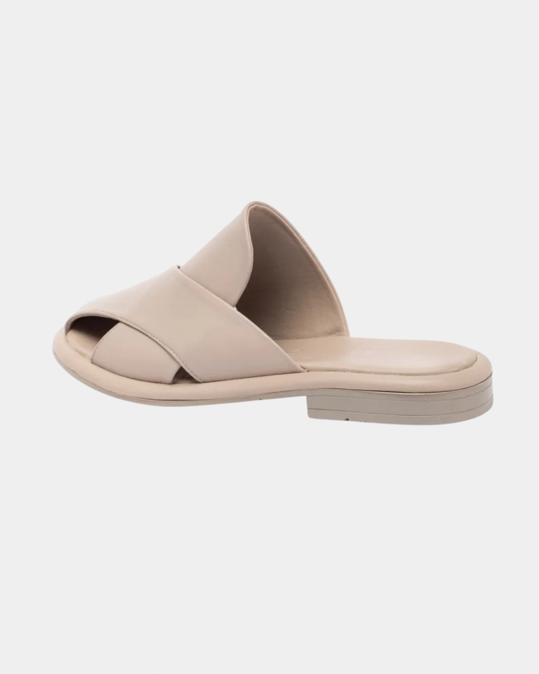 1206 vizon casual terlik